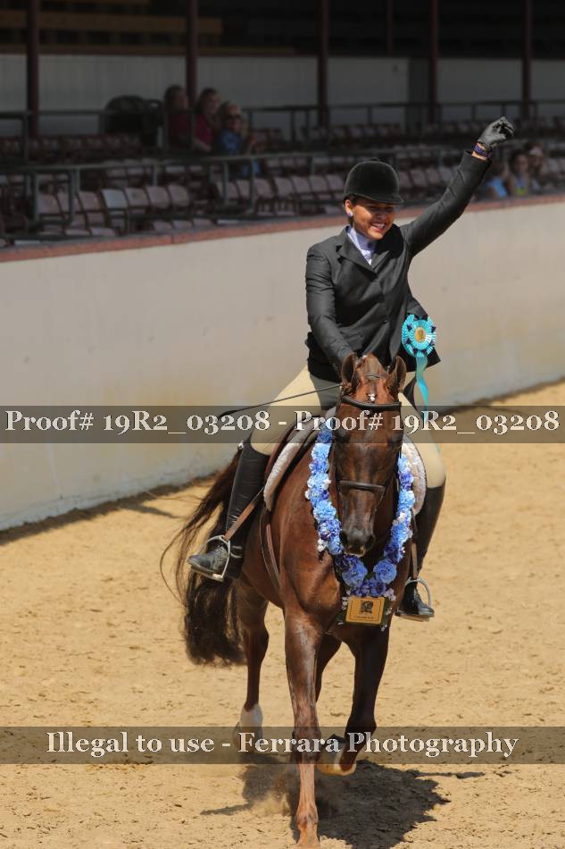 Proof 19R2_03208
