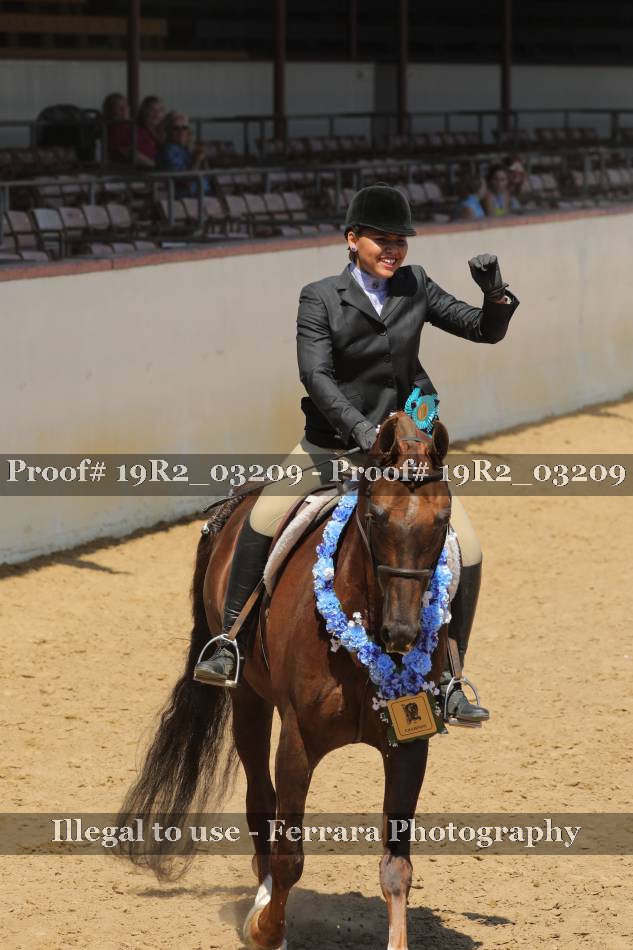Proof 19R2_03209