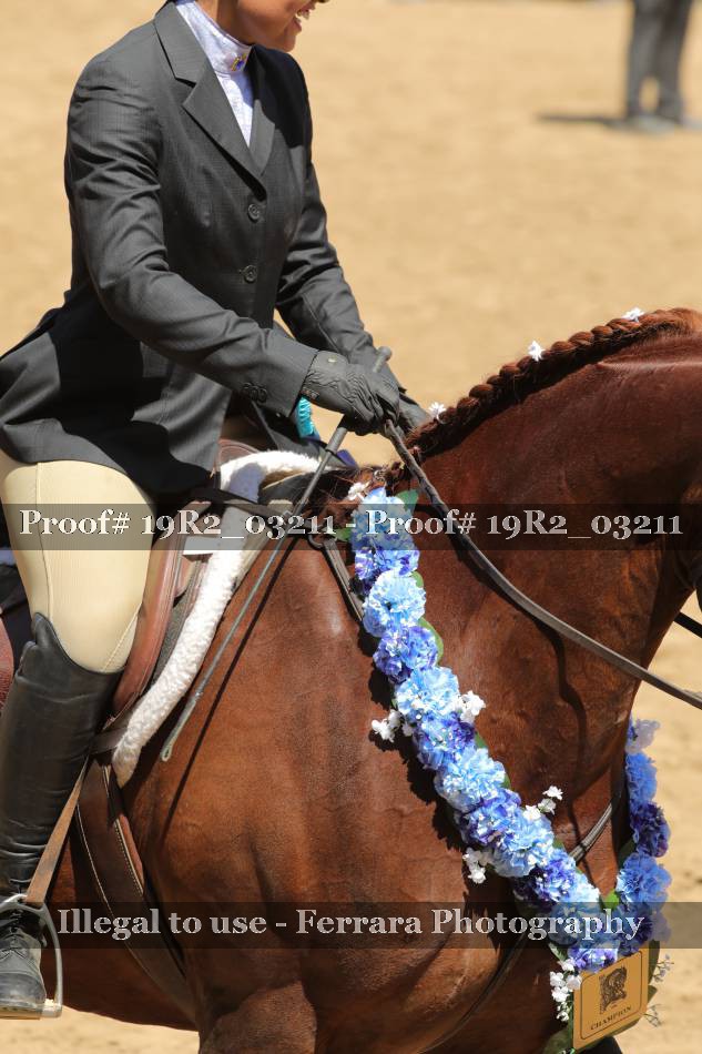 Proof 19R2_03211