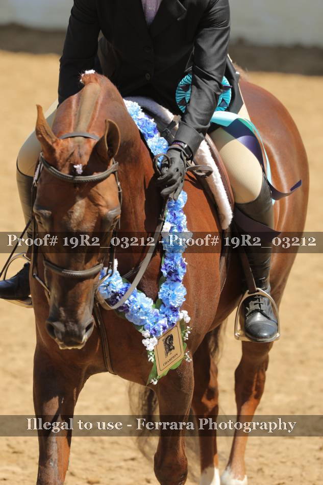 Proof 19R2_03212