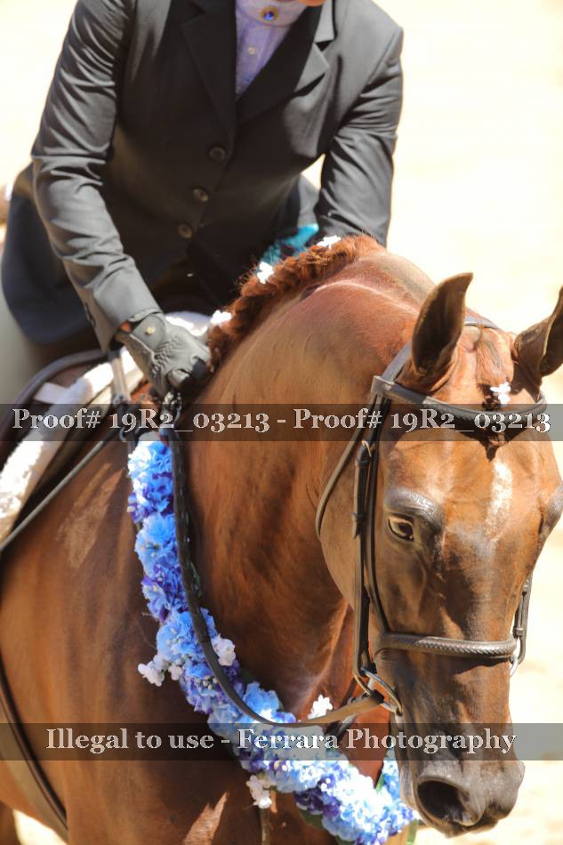 Proof 19R2_03213