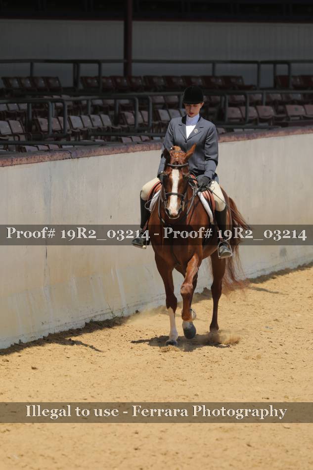 Proof 19R2_03214