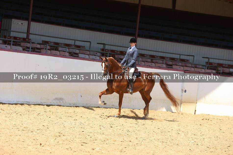 Proof 19R2_03215