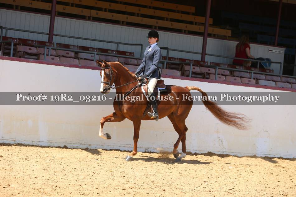 Proof 19R2_03216