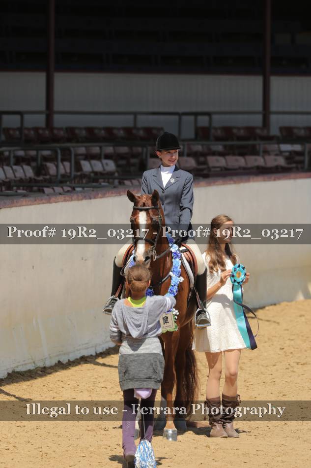 Proof 19R2_03217
