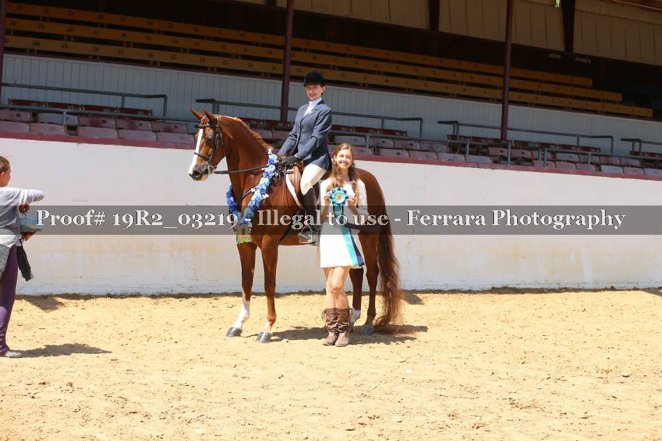 Proof 19R2_03219