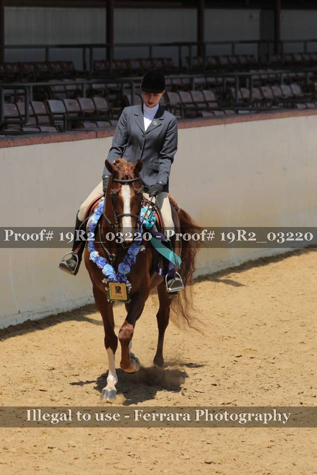 Proof 19R2_03220