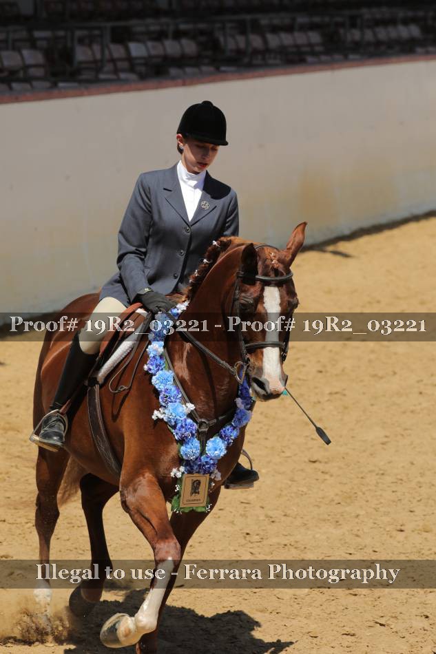 Proof 19R2_03221