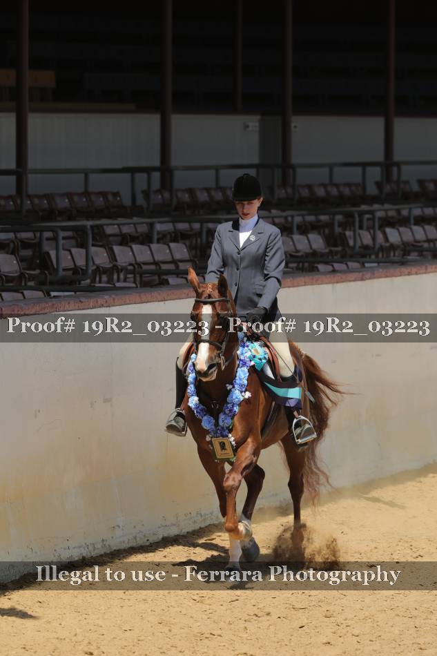 Proof 19R2_03223
