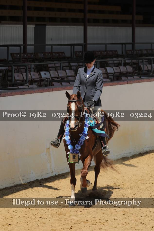 Proof 19R2_03224
