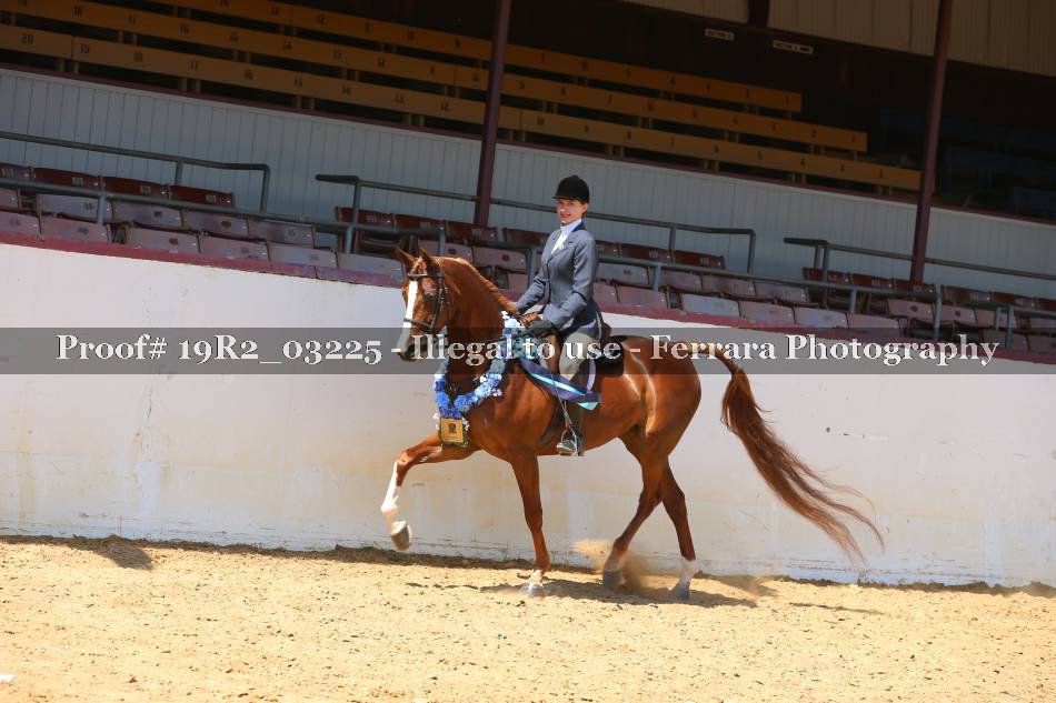 Proof 19R2_03225