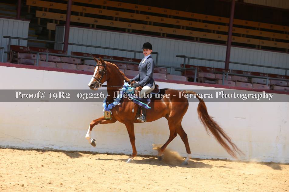 Proof 19R2_03226