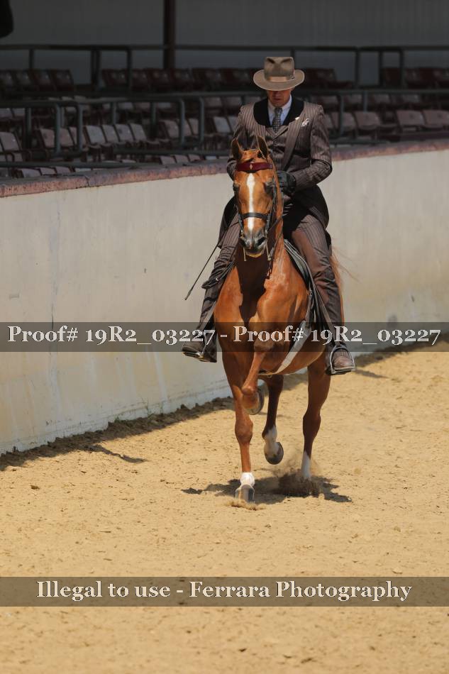 Proof 19R2_03227