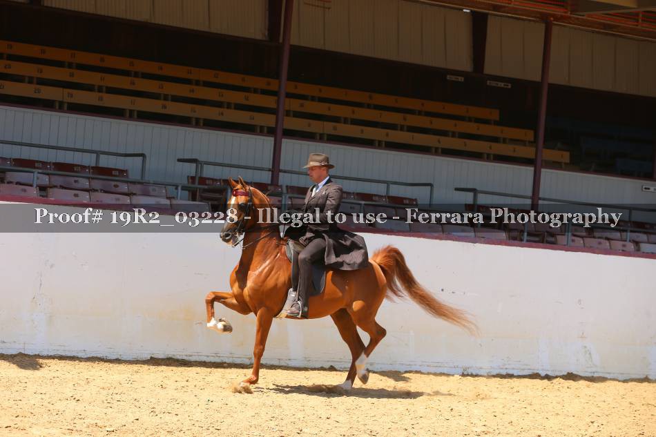 Proof 19R2_03228