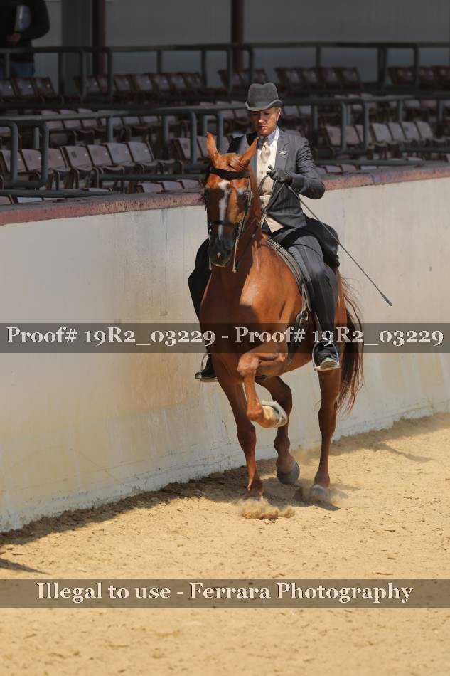 Proof 19R2_03229