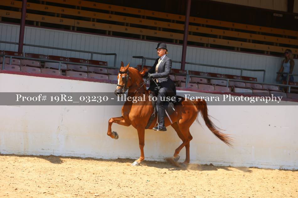 Proof 19R2_03230