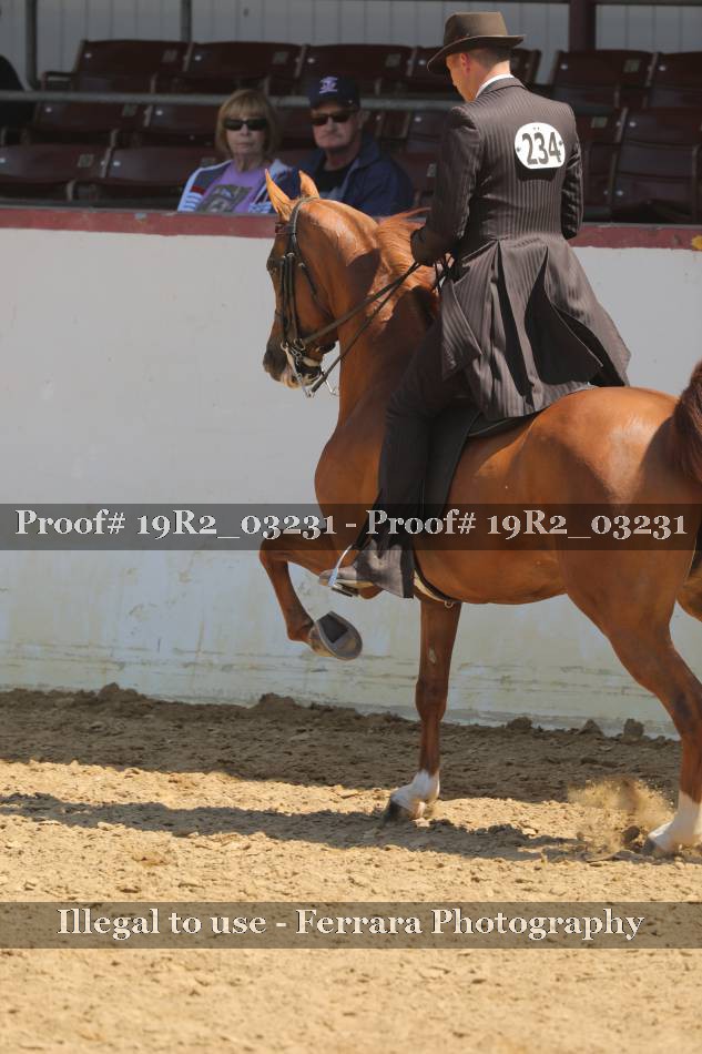Proof 19R2_03231