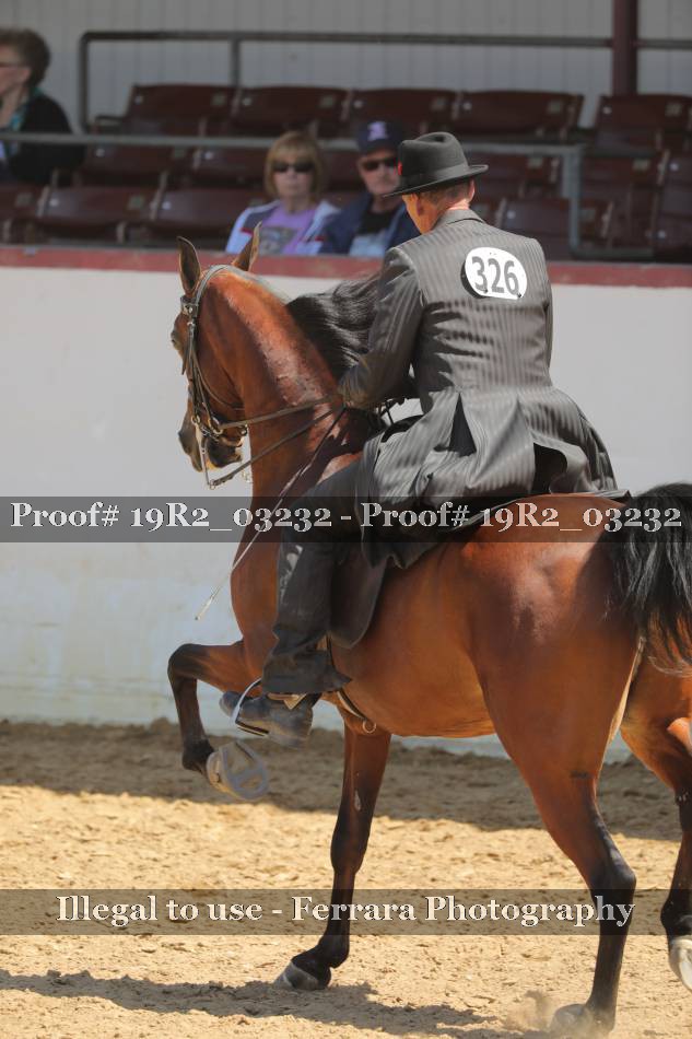 Proof 19R2_03232