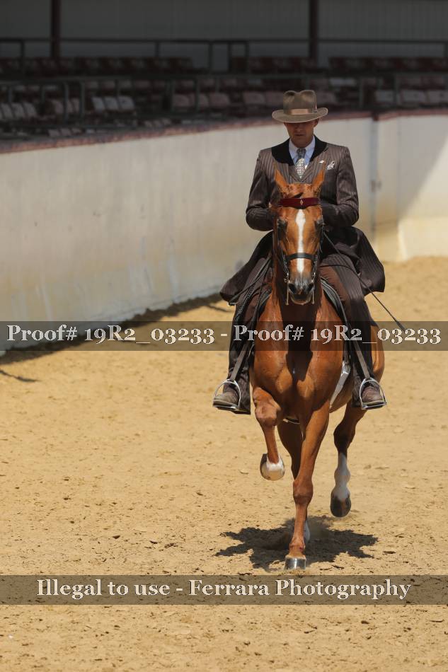 Proof 19R2_03233