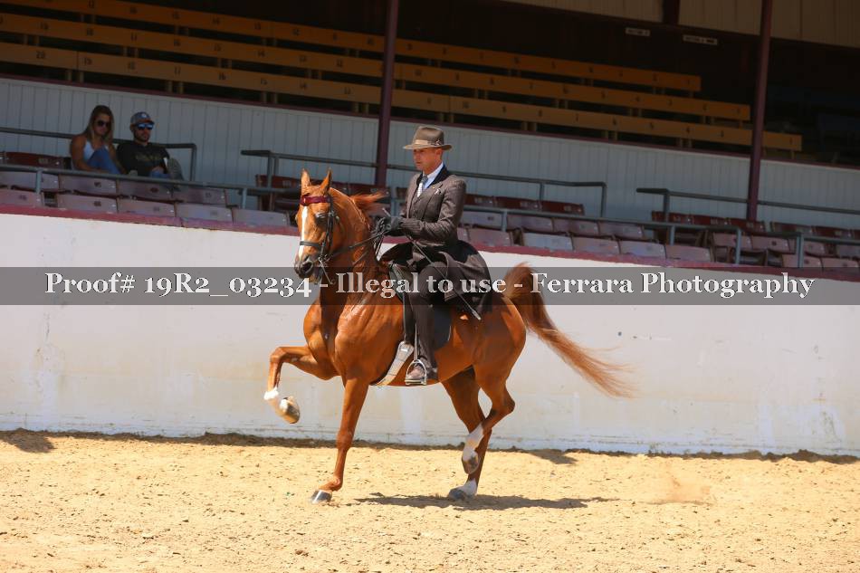 Proof 19R2_03234