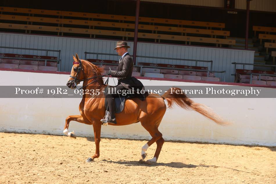 Proof 19R2_03235