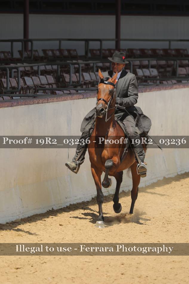 Proof 19R2_03236