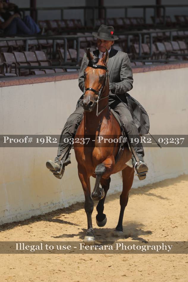Proof 19R2_03237