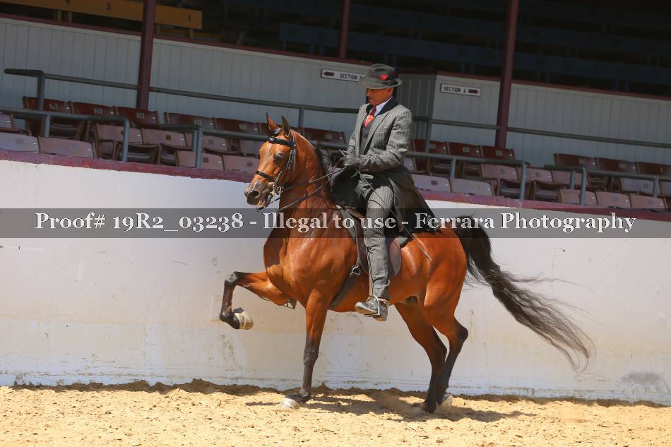 Proof 19R2_03238