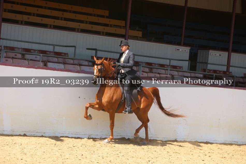 Proof 19R2_03239