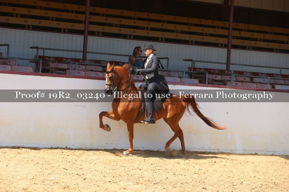 Proof 19R2_03240