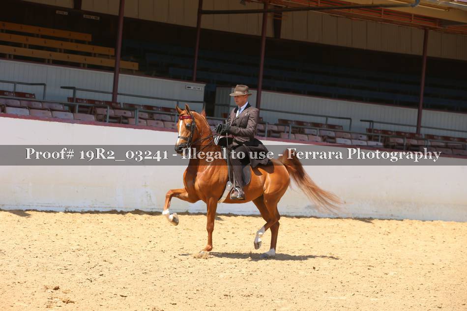 Proof 19R2_03241