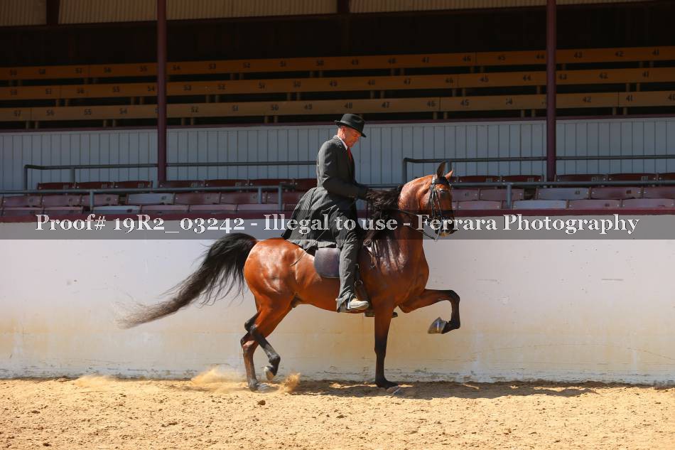 Proof 19R2_03242