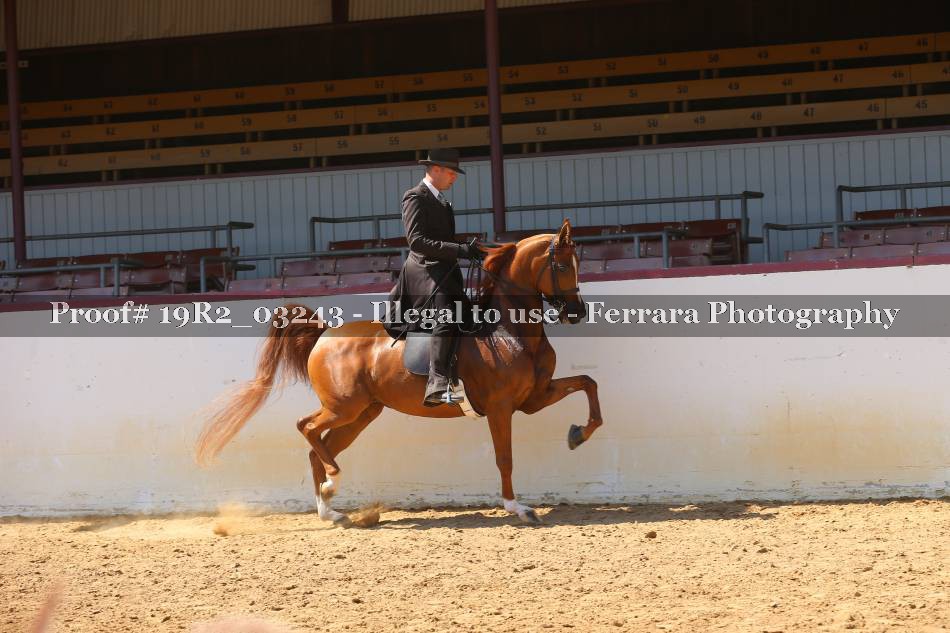 Proof 19R2_03243