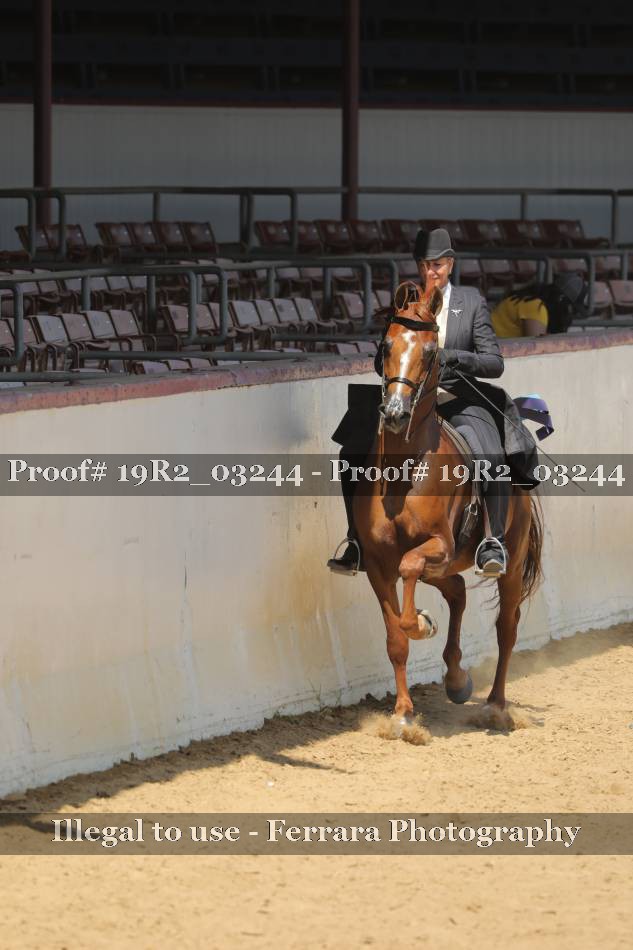 Proof 19R2_03244