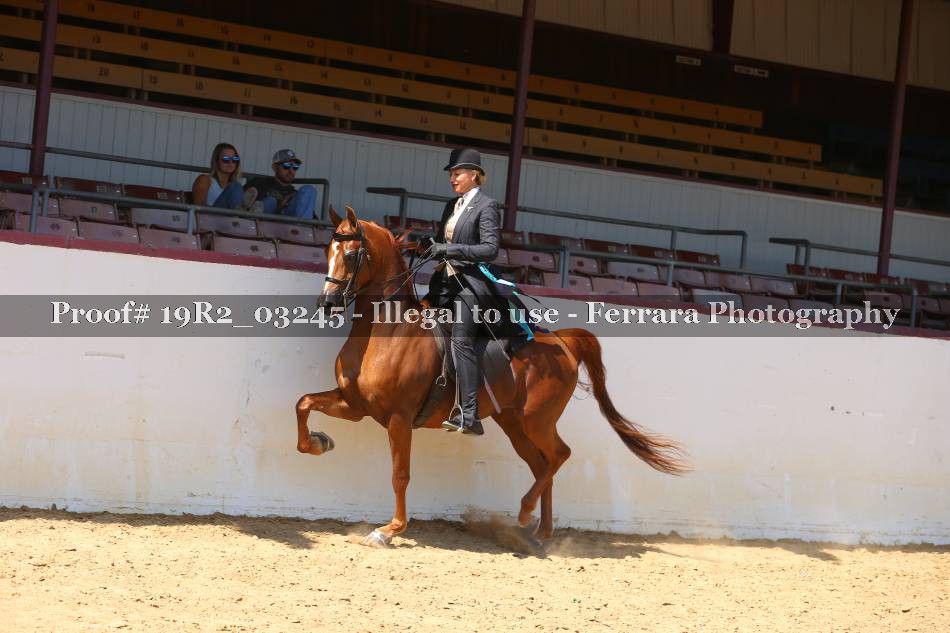 Proof 19R2_03245