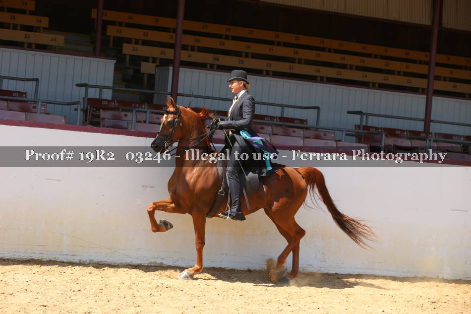 Proof 19R2_03246