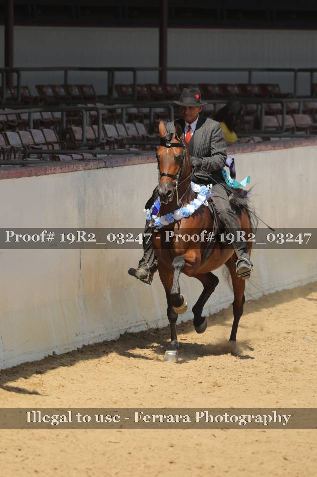 Proof 19R2_03247