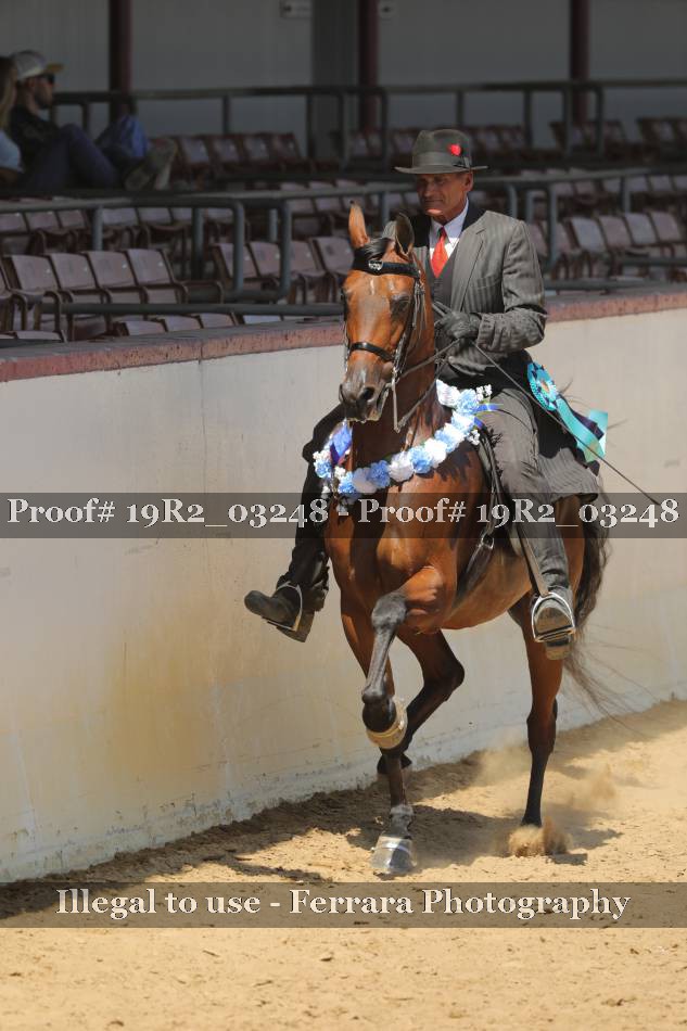 Proof 19R2_03248