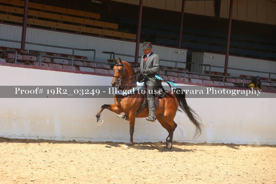 Proof 19R2_03249