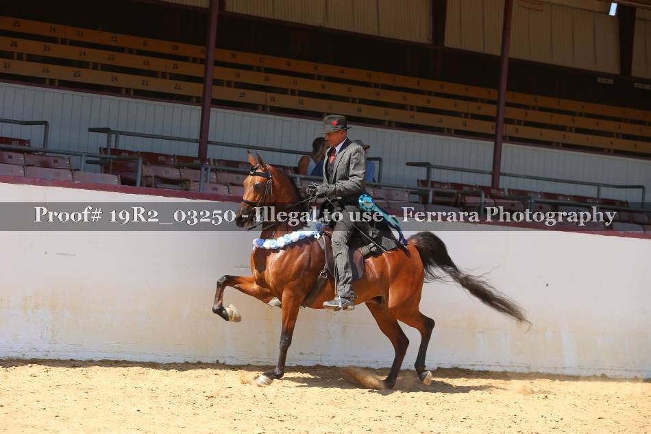 Proof 19R2_03250