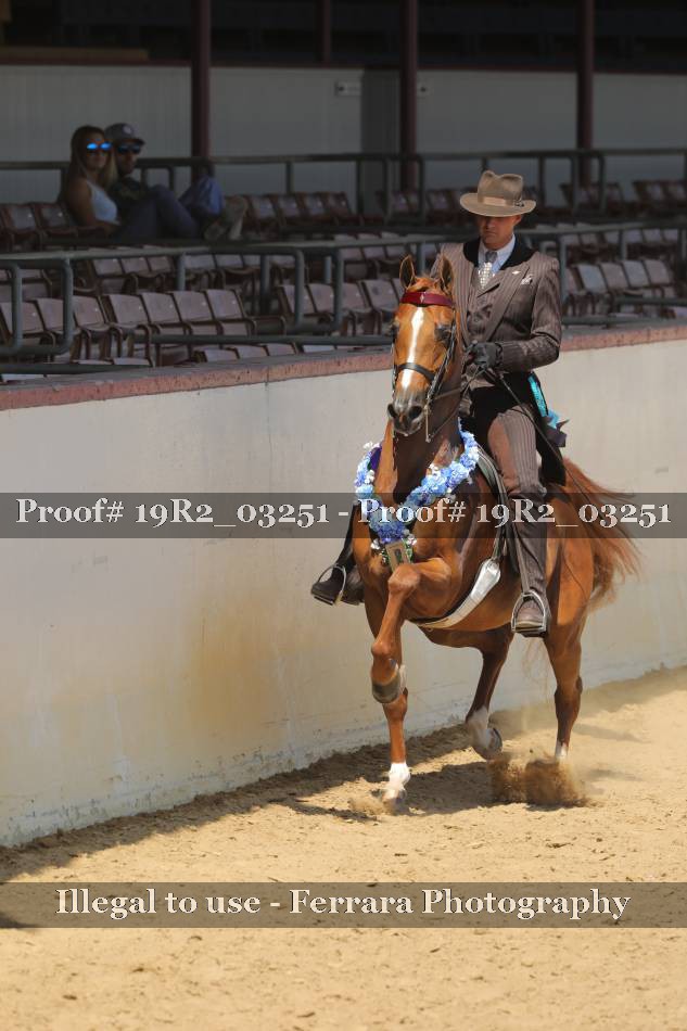Proof 19R2_03251
