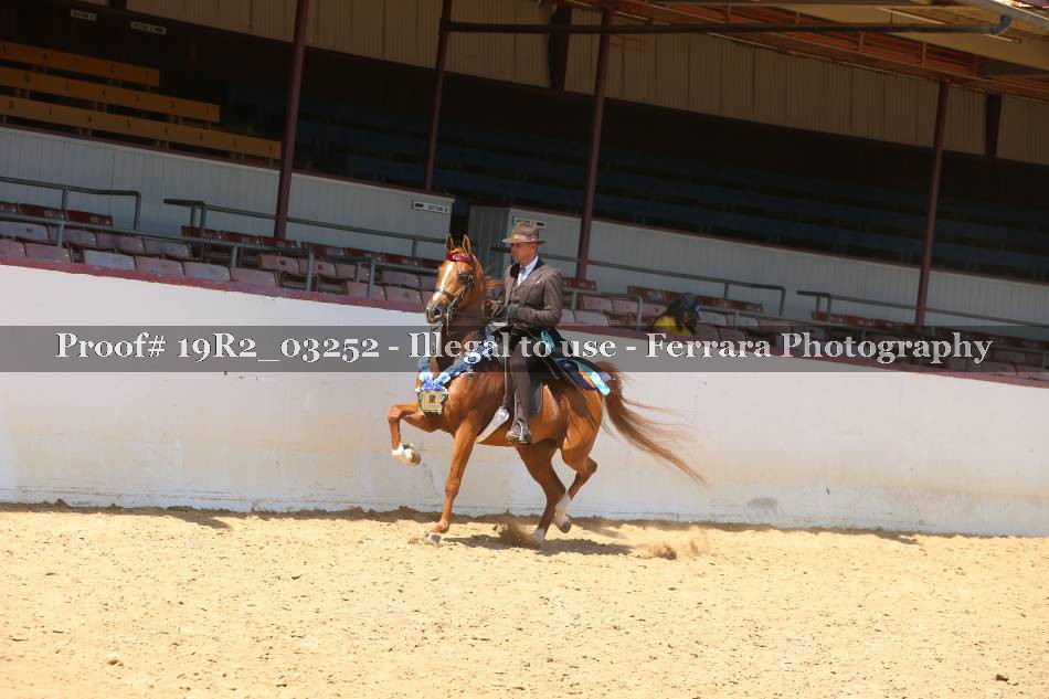 Proof 19R2_03252