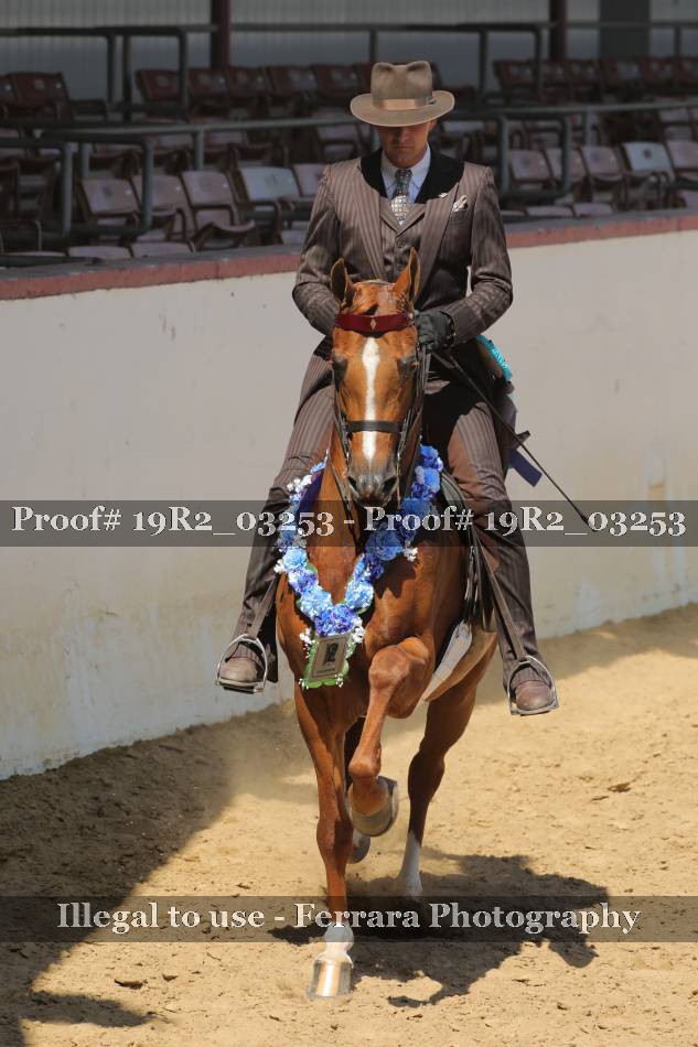 Proof 19R2_03253