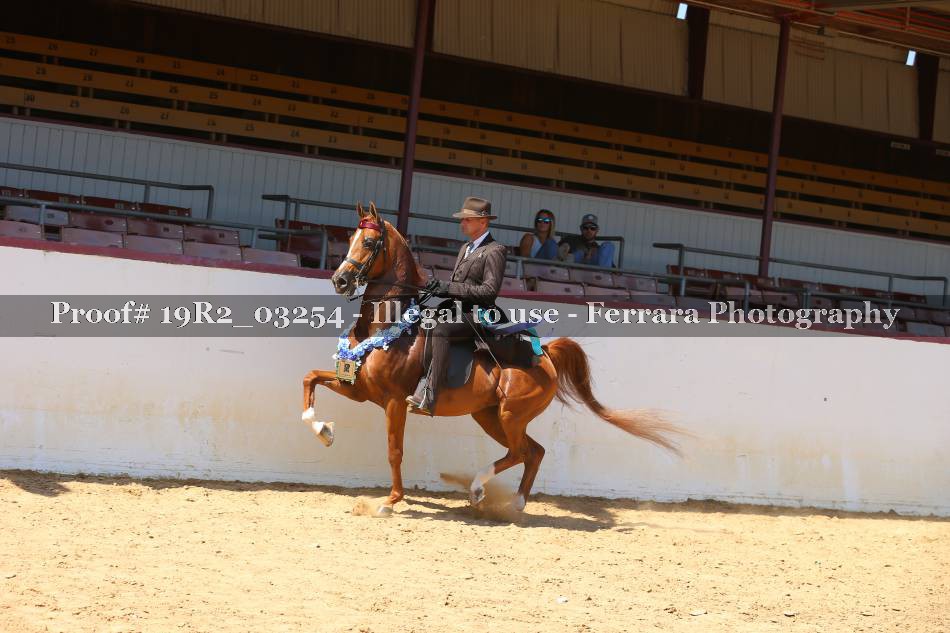 Proof 19R2_03254