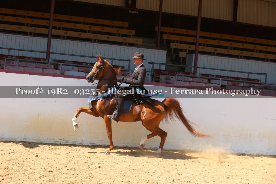 Proof 19R2_03255