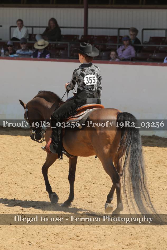 Proof 19R2_03256