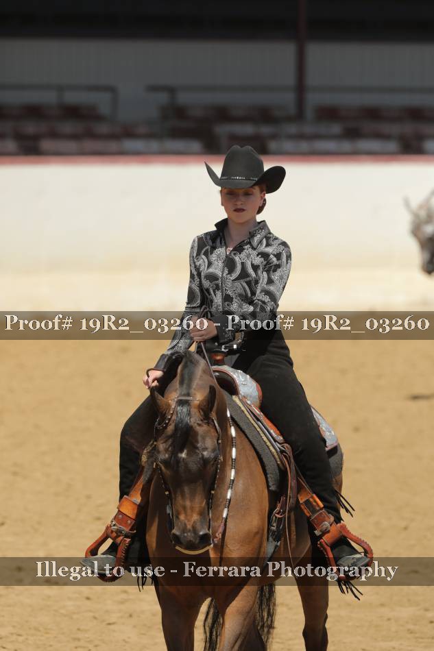 Proof 19R2_03260