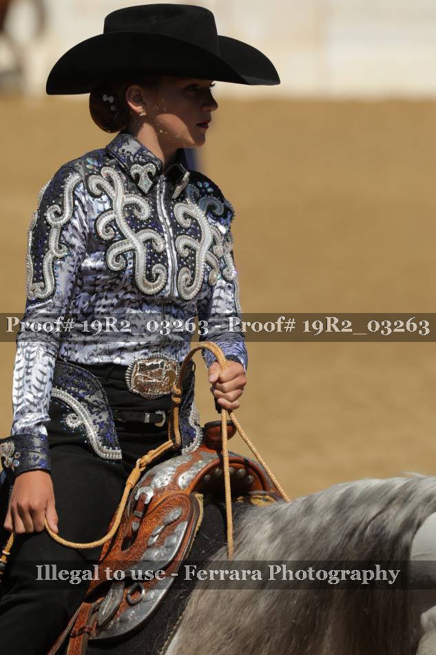 Proof 19R2_03263