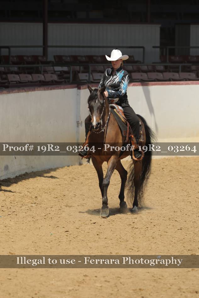 Proof 19R2_03264
