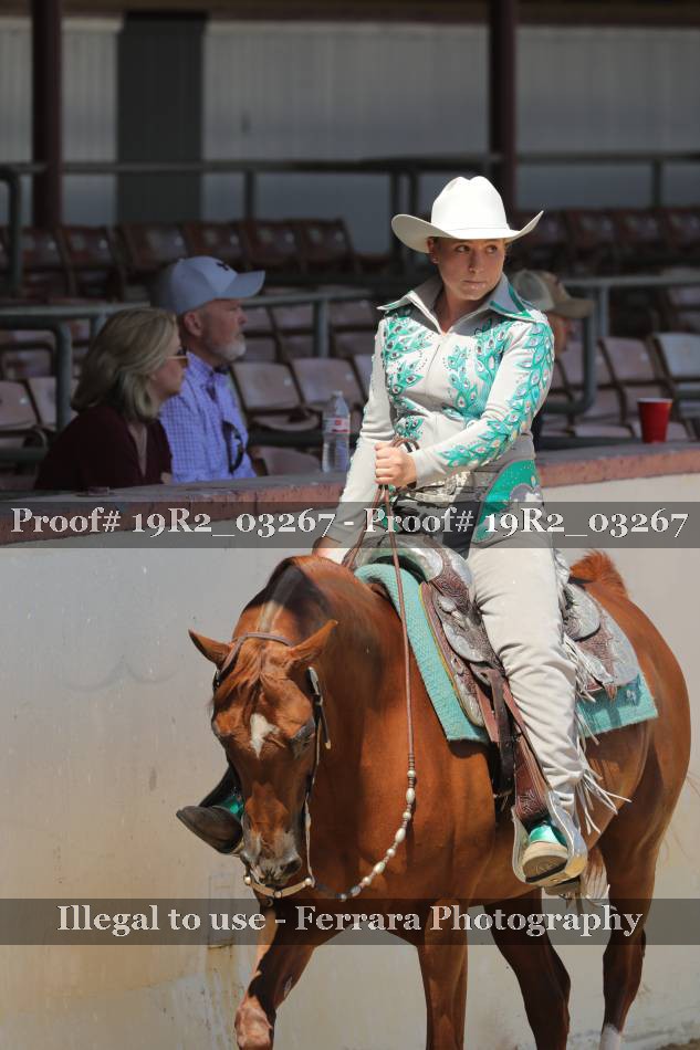 Proof 19R2_03267